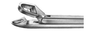 Biopsiezange Alexander, 28 cm
