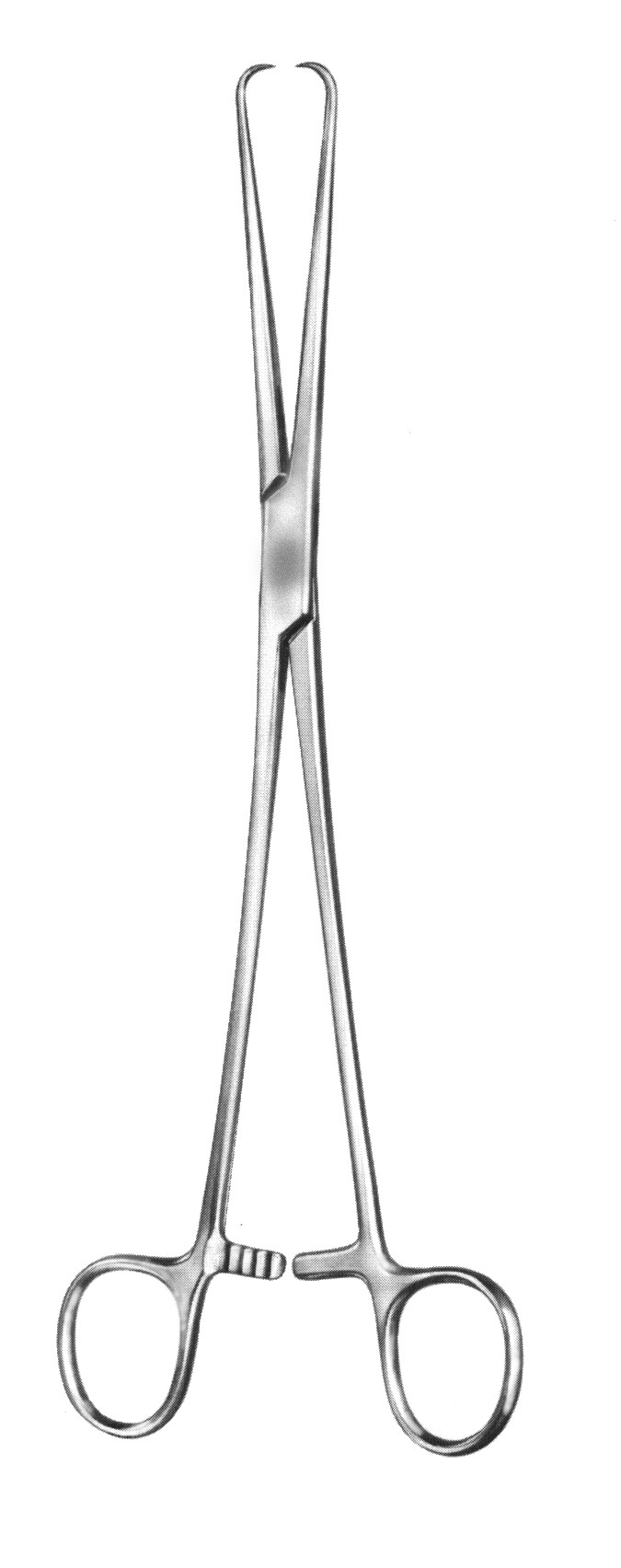 Hakenzange Schr der 25,0 cm