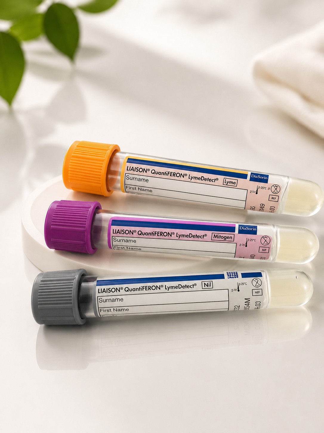* Lyme Detect Röhrchen-Set, bestehend aus grau GR24, orange OR25, violett VI26 u. Serum