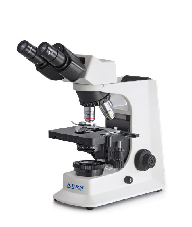 Kern Durchlichtmikroskop binokular