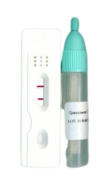 Hemorepair FOB-Test (Biorepair)